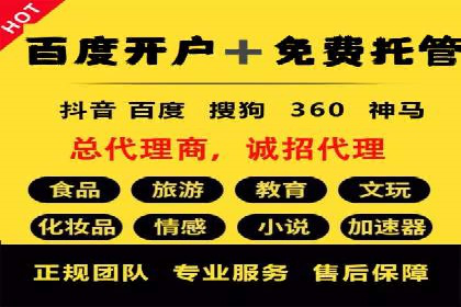 竞价推广策略：某电商平台的成功之路